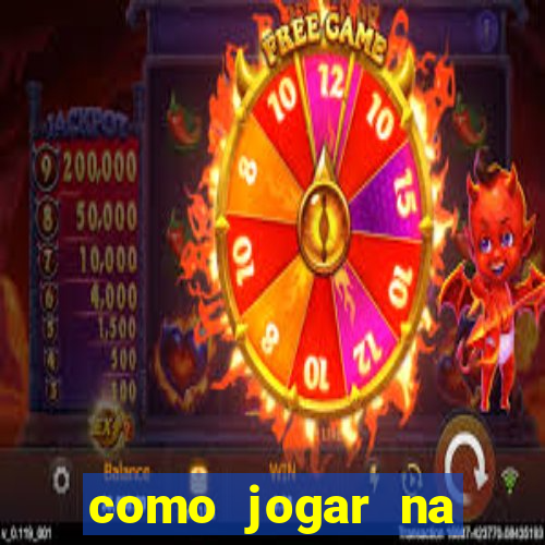 como jogar na lotinha do jogo do bicho